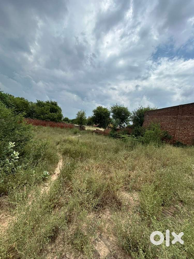 Plot of 2 kanal 2 marla in dhanaula