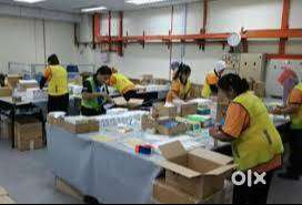 Packing and helper job at nellad