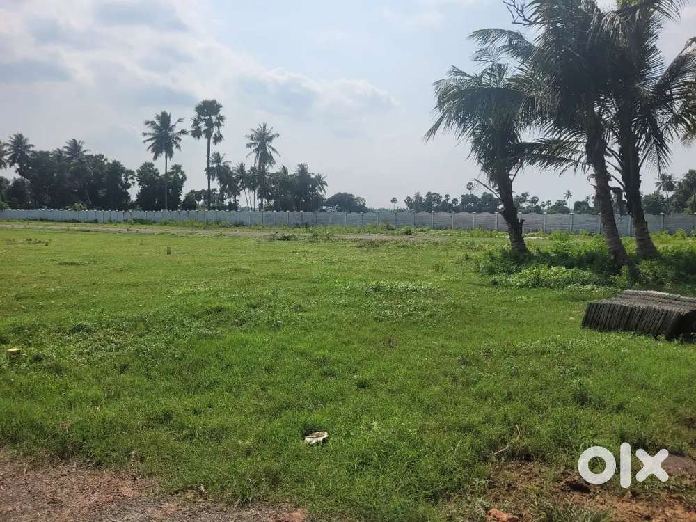 జీ వేమవరం లో 188 గజాల ఈస్ట్ ఫేసింగ్ స్థలం ఇల్లు కట్టుకొనుటకు కలదు