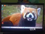 Lenovo ThinkPad