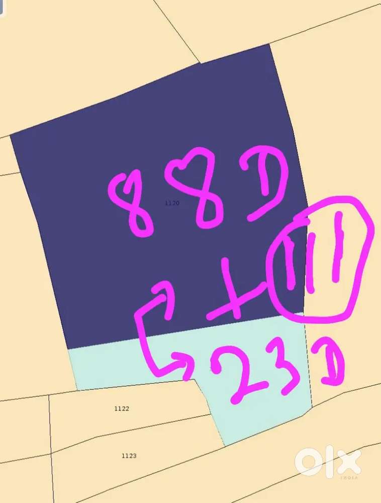 General plot