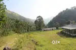 282 ACKRS COFFEE ESTATE FOR SALE