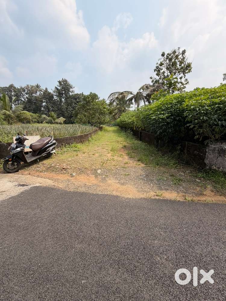 Kothamangalam Ramalloor