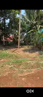 9 cent plain plot for sale adkathbail kasaragod near NH 66 100 meter