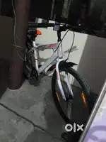 Without gear 20 Inch cycle