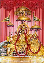 Fully Furnished Rooms for Males in Raja Park