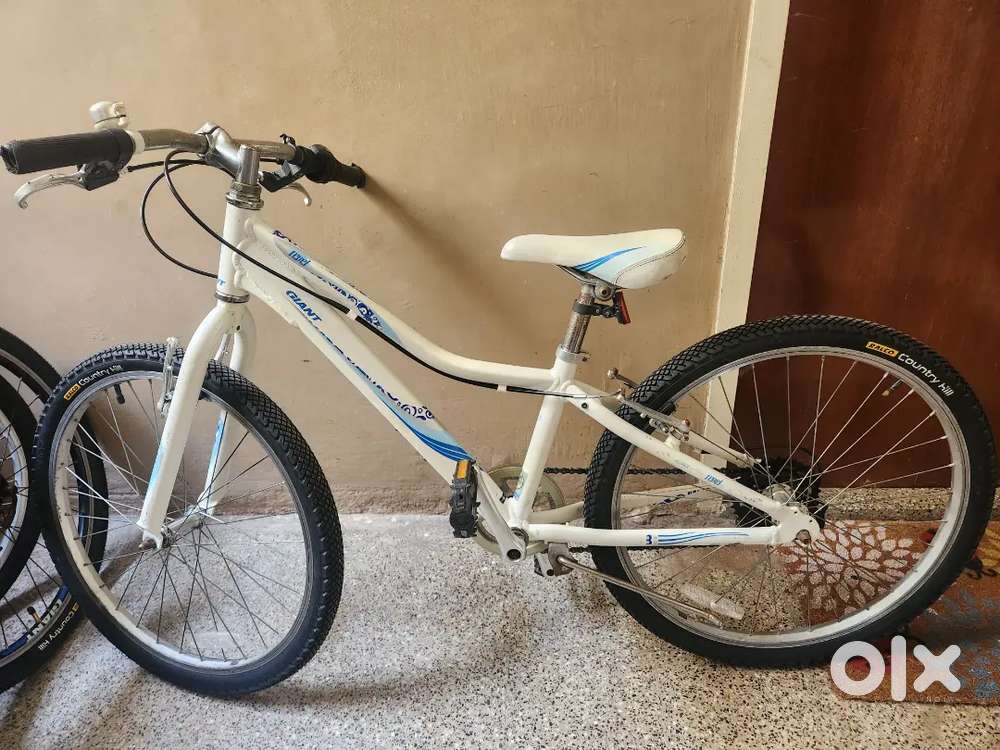 Kid's cycle - 6 yrs old- fully serviced- 16k