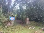 Approved Farms Land in Kodaikanal Pannaikadu