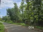 53-cent residential plot in Elmbakapilly, Koovappady
