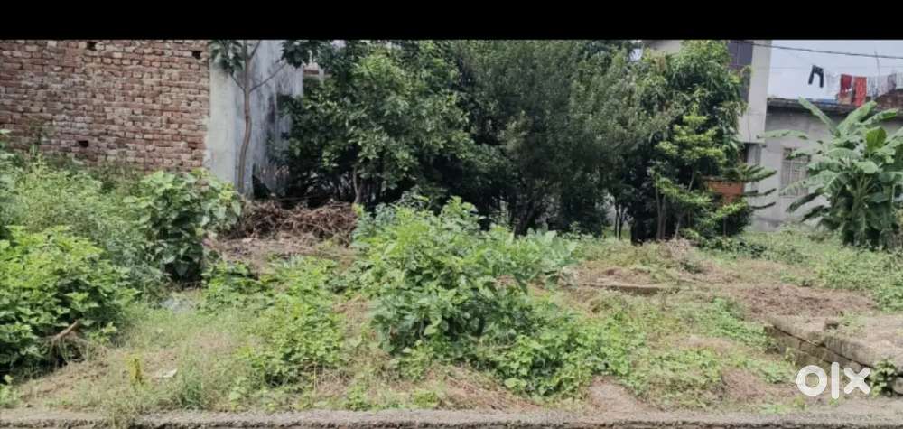 I want sale my plote