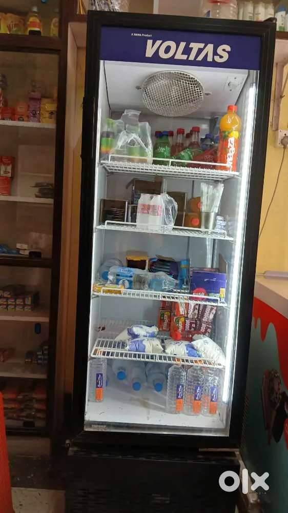 Freezer vertical