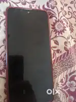 2  year old
