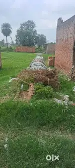 Dheemarkhera par ka majhra Main Plat bikau hai 1200 ft hai