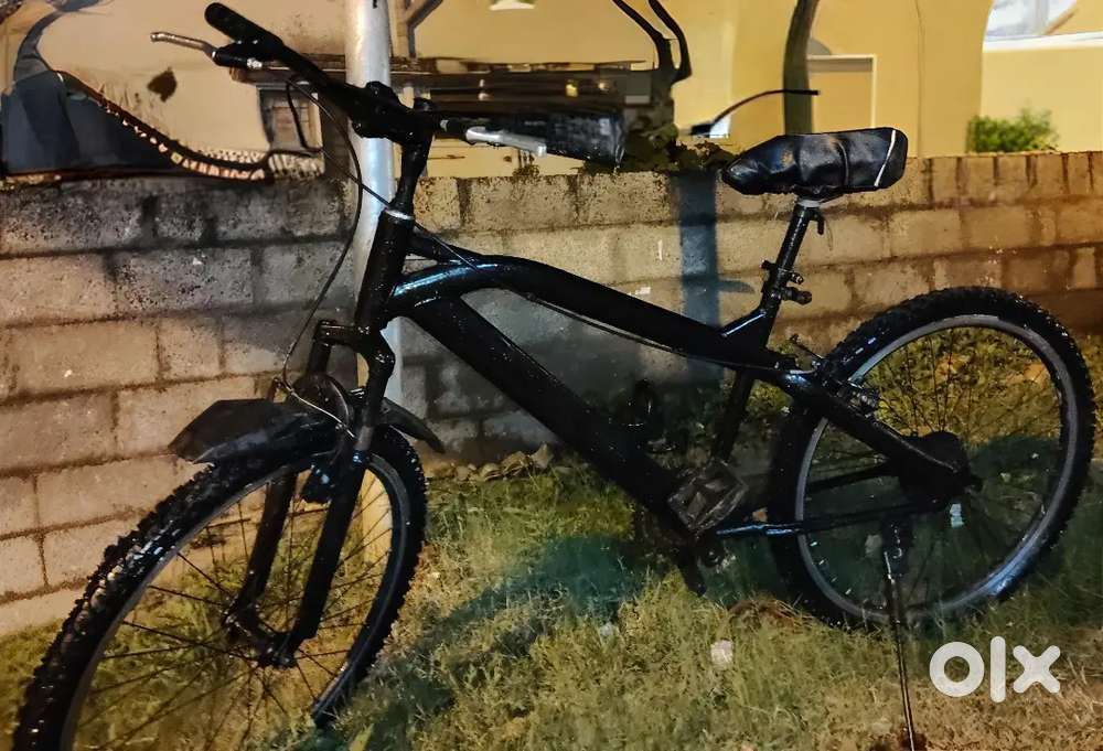 Best cycle in working,free wheel.