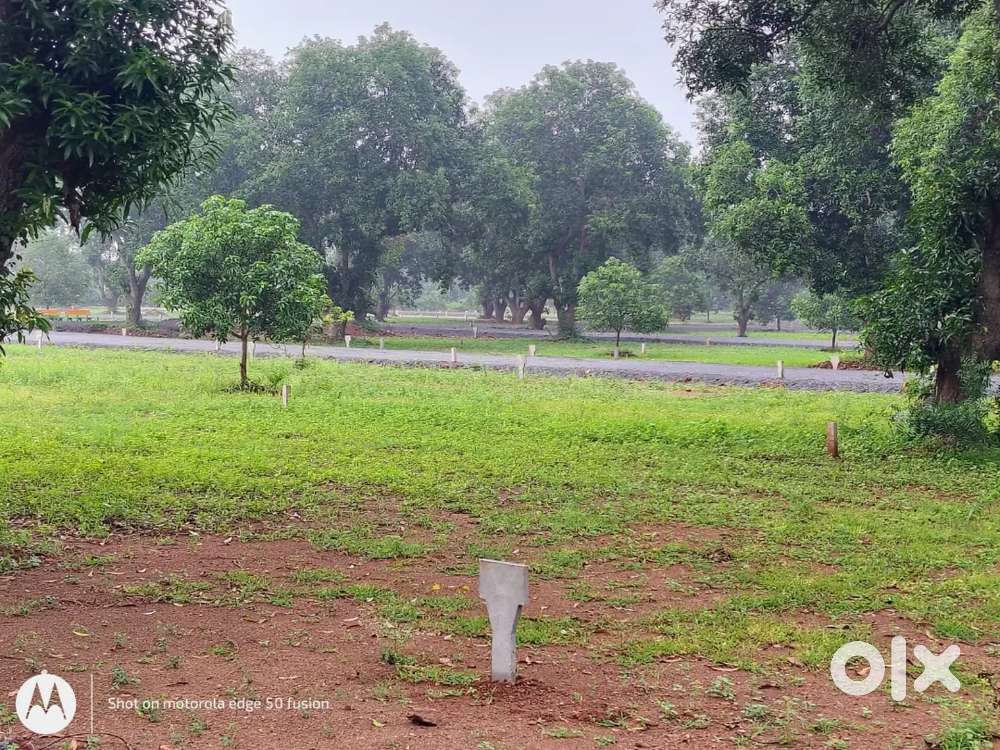 Investment plots are available in low-budget