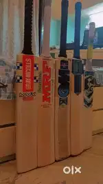 Cricket bat