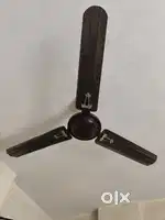 Two Old celing fan , Only need capacitor change