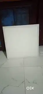 Roof light