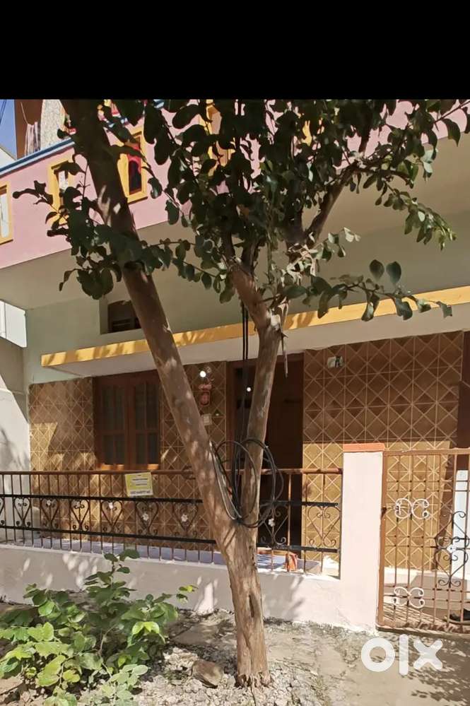 Ground floor 1BHK house