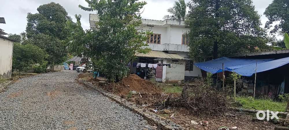 ANGAMALY TOWN 1KM 5,6,8, 10 CENT PLOTS AVAILABLE