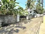 10  CENT ORGINAL LAND IN KAKKANAD PADAMUGAL NEAR PALACHUVAD