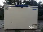 Blue star deep freezer ( 350 liters)