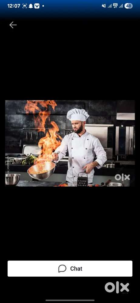 Need a cook