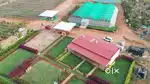 Plot for sale at shadnagar,Dtcp rera approved,fully developed