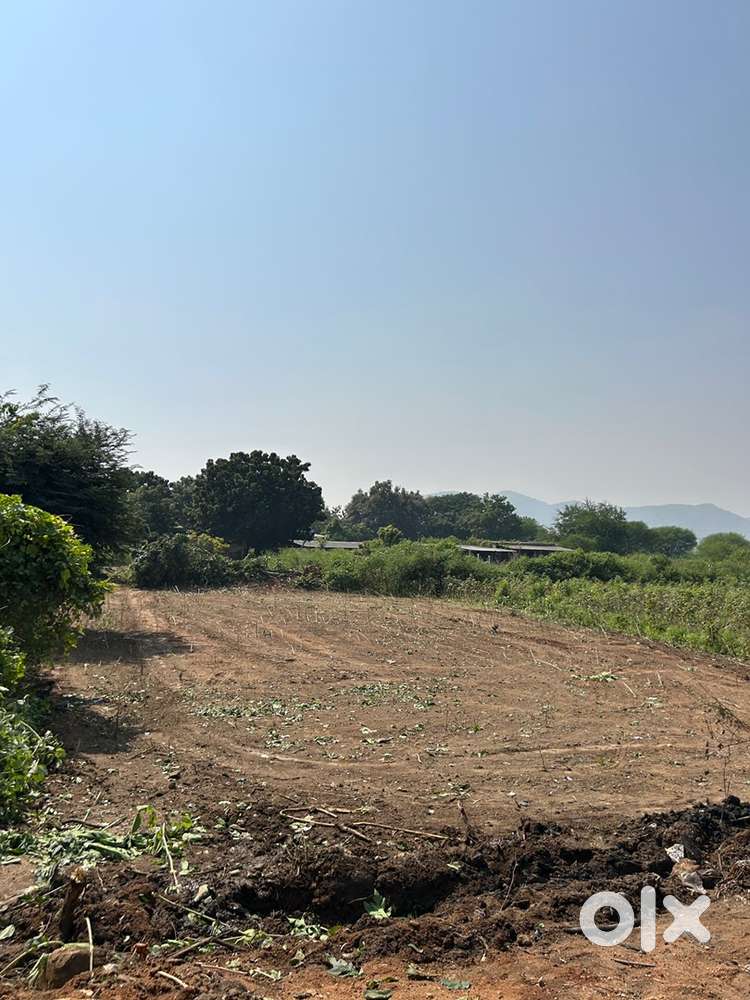 Agriculture land and residential