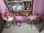 ladies bicycle