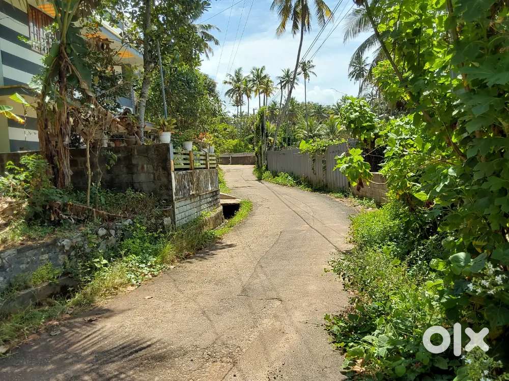 5.5 CENTS,PUNNIKAMUGAL, NR CSI CHURCH/ KSEB OFF, AMBEDKAR RD,POOJAPURA