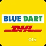 Bluedart Delivery Job
