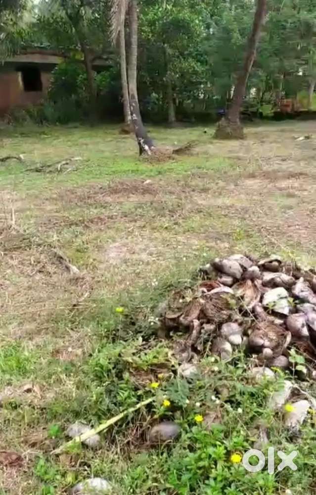 Land for sale in Padnakkad.