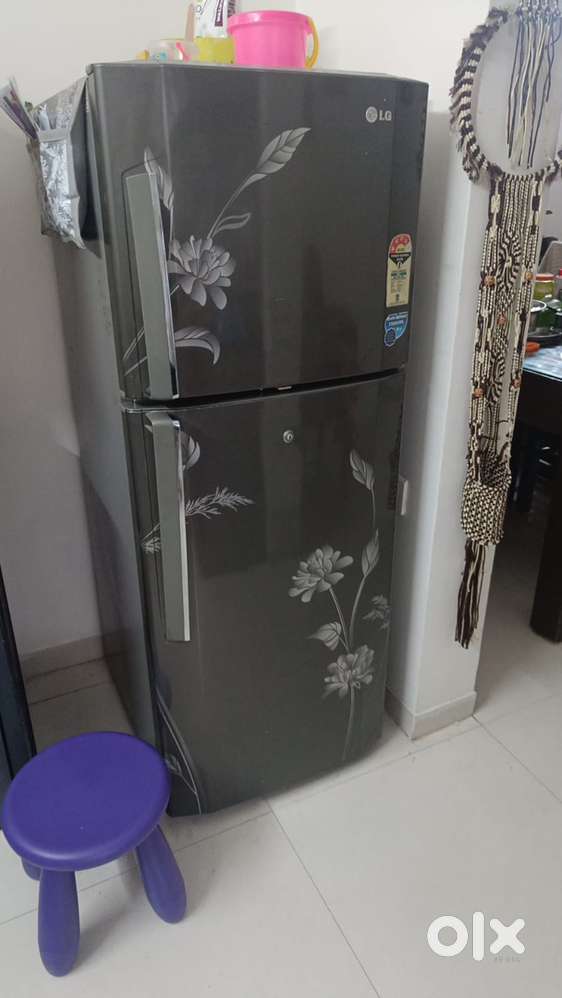 245 L LG double door fridge available for sale