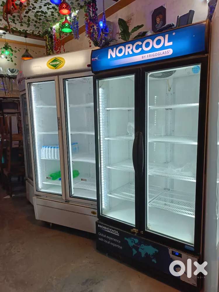 Duble door visicooler frize