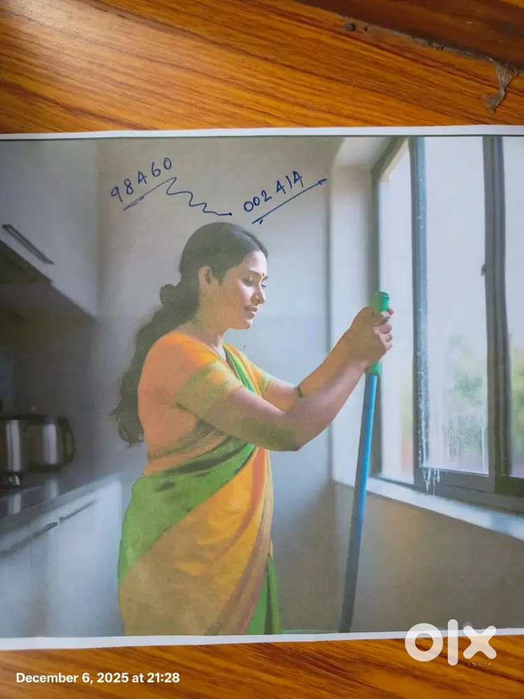 വീട്ടു ജോലി