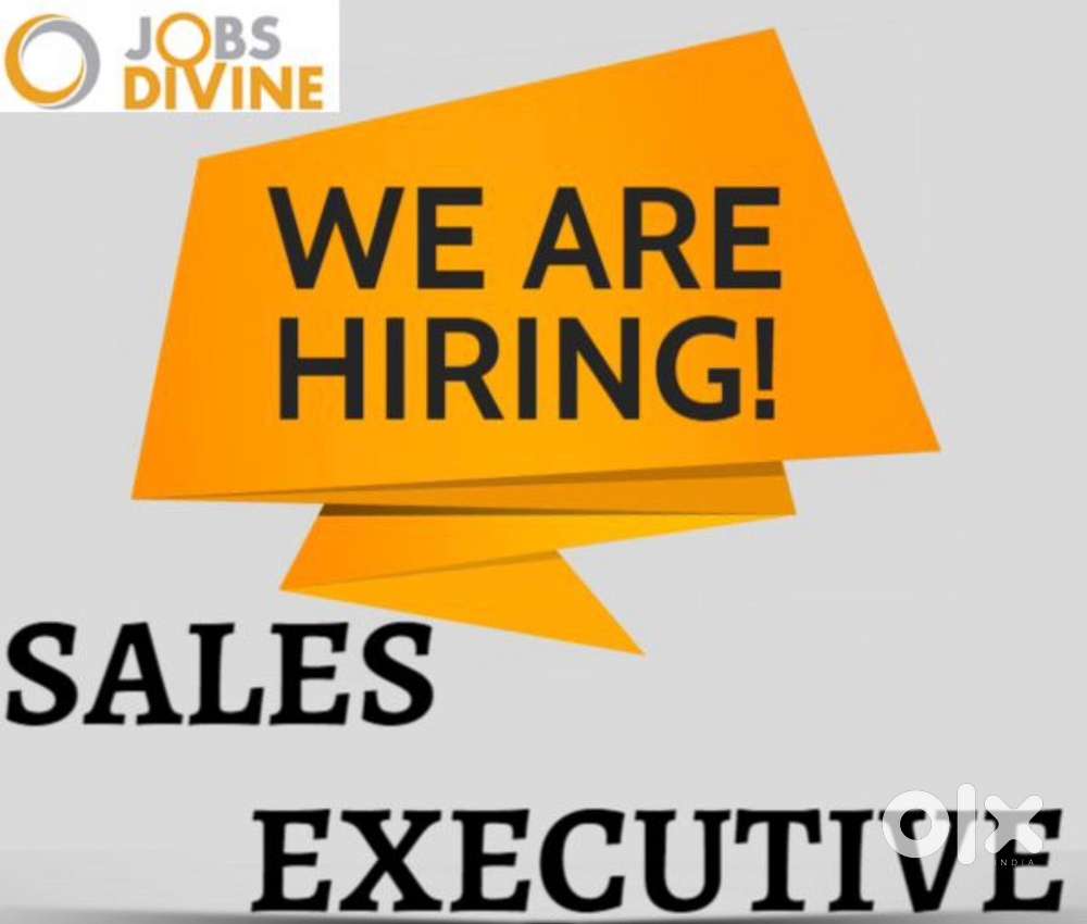 Sales Executive for E-Rickshaw