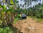 Plot for Sale at Venkavila Junction Nedumangadu