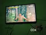 PHILIPS LED TV NON SMART 43 INCHES