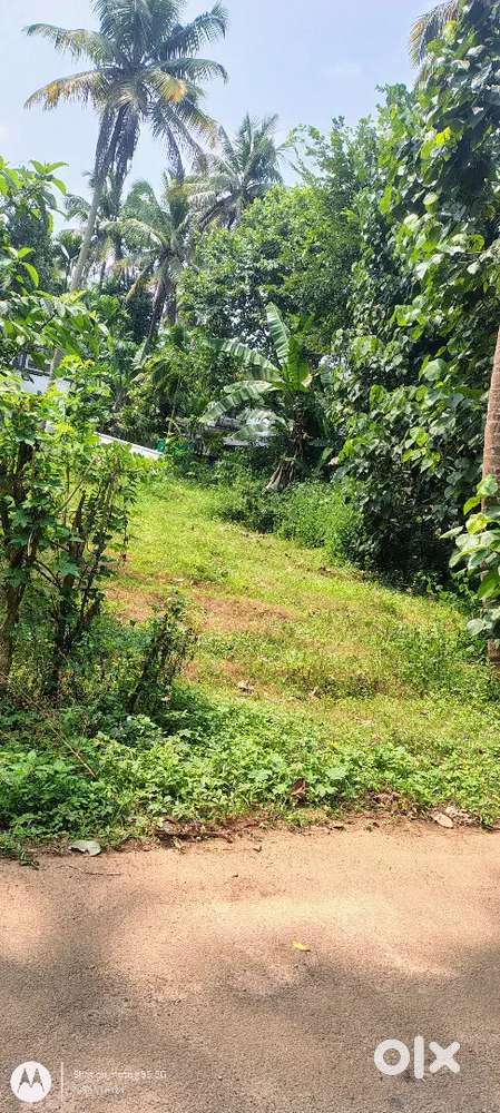 കൊടകര ചെമ്പുച്ചിറ ചുറ്റിലും മാട്ടം കെട്ടിയ നല്ല പറമ്പ്