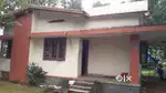 തൊടു പുഴ - കൈതക്കോട് 3bhk  വീട് വാടകക്ക്