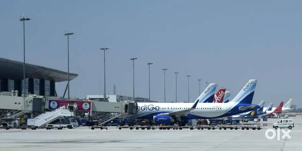 Cabin Crew/ Airport Ground Staff Jobs in Indigo Airlines