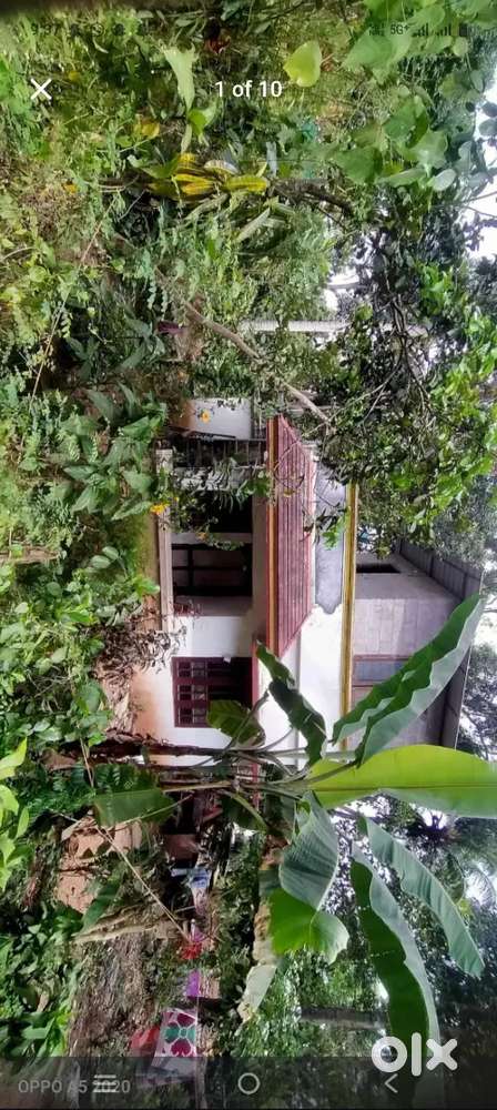 Corporation area House with 10 cent plot for sale 2 wheeler way