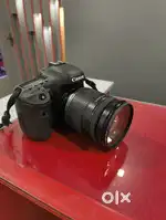 Canon EOS 7D with lens EFS 18-200 mm
