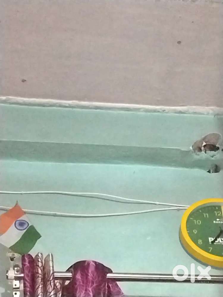 Free wali dish bechni hai