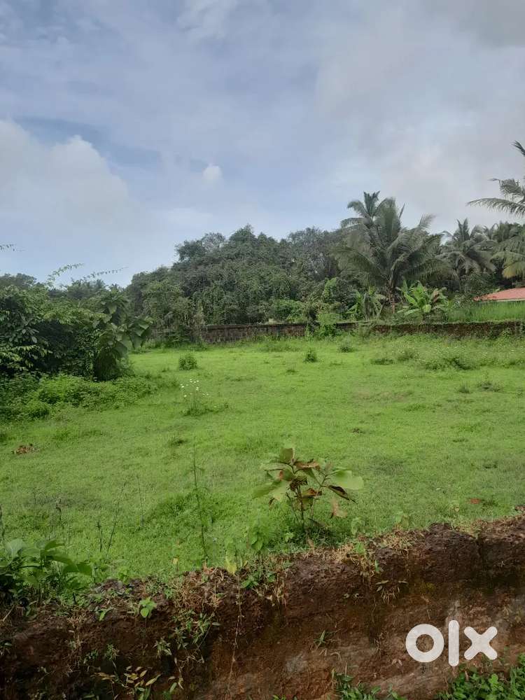 PLOTS WITH VIEW NEAR MARCELA GOA