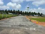 Near Marine college
