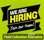 Collection Executive