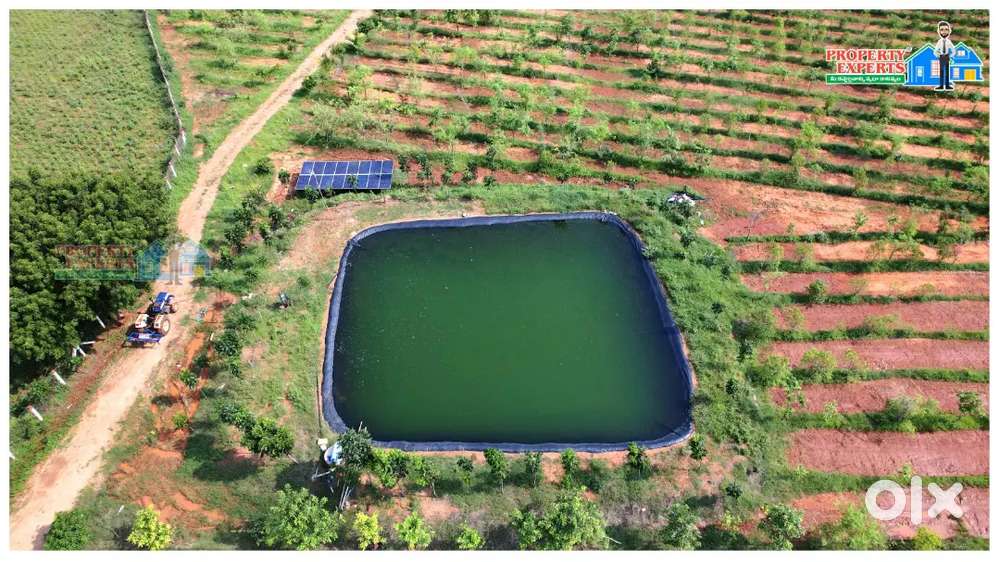 100 gajalu 125000 rupailu matrame