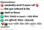 गोदाम में पैकिंग स्कैनिंग लोडिंग अनलोडिंग करने हेतु आवश्यकता है